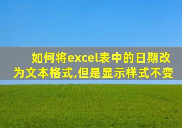 如何将excel表中的日期改为文本格式,但是显示样式不变