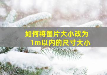 如何将图片大小改为1m以内的尺寸大小