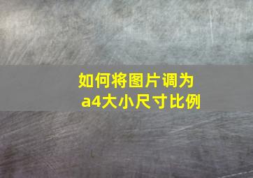 如何将图片调为a4大小尺寸比例