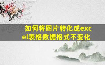 如何将图片转化成excel表格数据格式不变化