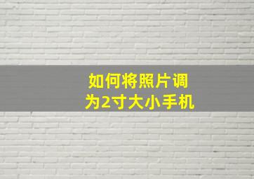 如何将照片调为2寸大小手机