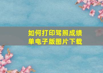 如何打印驾照成绩单电子版图片下载