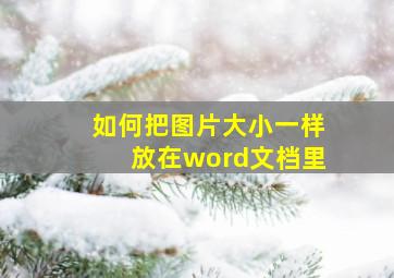 如何把图片大小一样放在word文档里