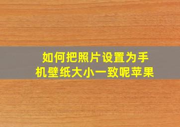 如何把照片设置为手机壁纸大小一致呢苹果