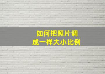 如何把照片调成一样大小比例