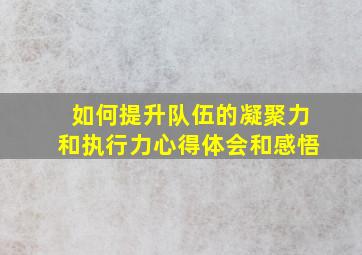 如何提升队伍的凝聚力和执行力心得体会和感悟