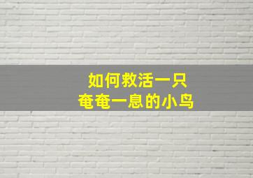 如何救活一只奄奄一息的小鸟