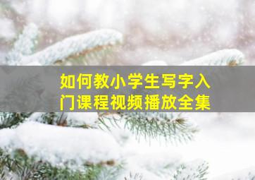 如何教小学生写字入门课程视频播放全集