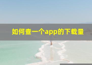 如何查一个app的下载量