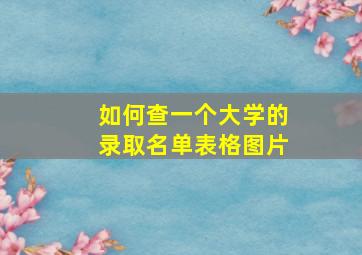 如何查一个大学的录取名单表格图片