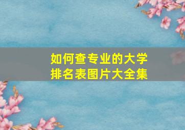 如何查专业的大学排名表图片大全集