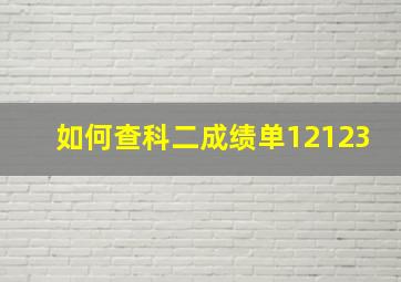 如何查科二成绩单12123