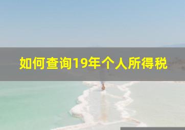 如何查询19年个人所得税