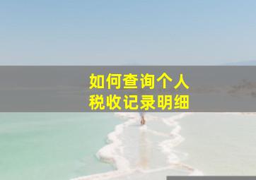 如何查询个人税收记录明细