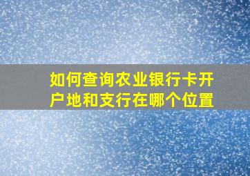 如何查询农业银行卡开户地和支行在哪个位置