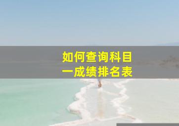 如何查询科目一成绩排名表