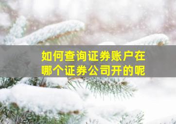 如何查询证券账户在哪个证券公司开的呢