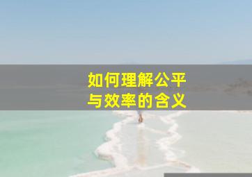 如何理解公平与效率的含义