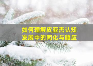 如何理解皮亚杰认知发展中的同化与顺应