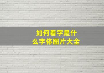 如何看字是什么字体图片大全