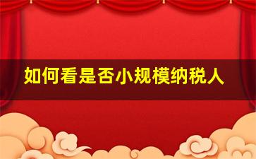 如何看是否小规模纳税人