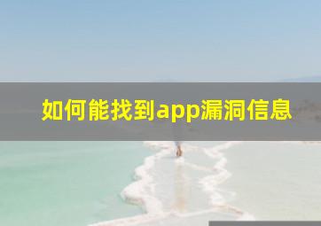 如何能找到app漏洞信息