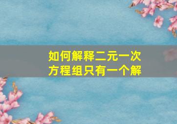 如何解释二元一次方程组只有一个解