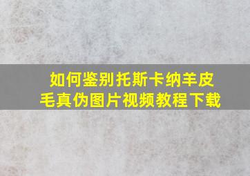 如何鉴别托斯卡纳羊皮毛真伪图片视频教程下载