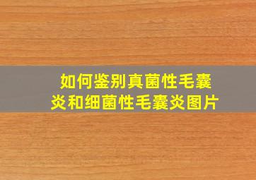 如何鉴别真菌性毛囊炎和细菌性毛囊炎图片