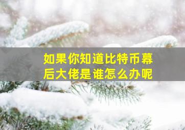 如果你知道比特币幕后大佬是谁怎么办呢