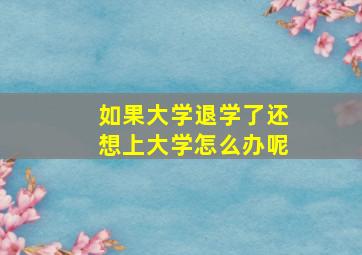 如果大学退学了还想上大学怎么办呢