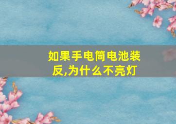 如果手电筒电池装反,为什么不亮灯