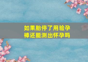 如果胎停了用验孕棒还能测出怀孕吗