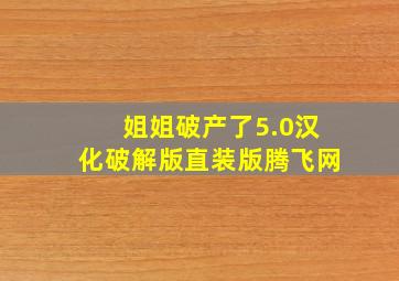 姐姐破产了5.0汉化破解版直装版腾飞网