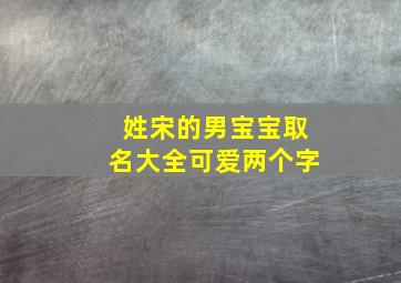 姓宋的男宝宝取名大全可爱两个字