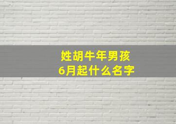 姓胡牛年男孩6月起什么名字