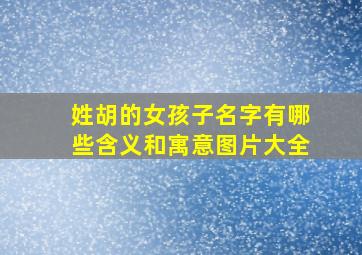 姓胡的女孩子名字有哪些含义和寓意图片大全