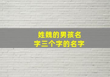 姓魏的男孩名字三个字的名字