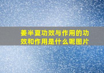 姜半夏功效与作用的功效和作用是什么呢图片