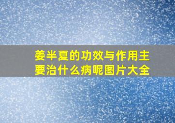 姜半夏的功效与作用主要治什么病呢图片大全