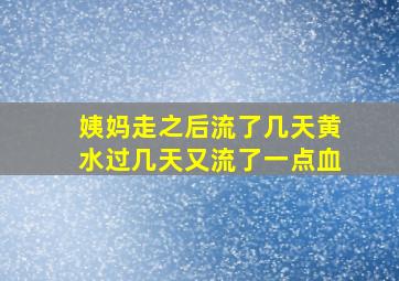 姨妈走之后流了几天黄水过几天又流了一点血