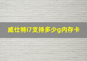 威仕特i7支持多少g内存卡