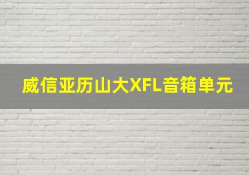 威信亚历山大XFL音箱单元