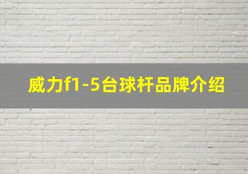 威力f1-5台球杆品牌介绍