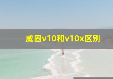 威固v10和v10x区别