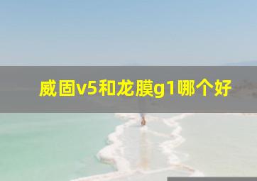 威固v5和龙膜g1哪个好