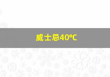 威士忌40℃