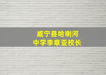 威宁县哈喇河中学李章亚校长