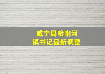 威宁县哈喇河镇书记最新调整