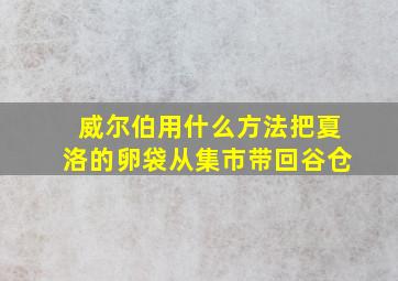 威尔伯用什么方法把夏洛的卵袋从集市带回谷仓